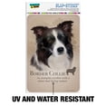 thumbnail image 3 of Border Collie Dog Breed Home Business Office Sign, 3 of 7