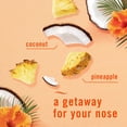thumbnail image 3 of Febreze Plug In Air Freshener, Odor-Fighting Scented Oil Refill, Hawaiian Aloha Scent, 4 Refills, 3 of 13