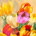 thumbnail image 2 of Stone, Jim 20x20 Black Ornate Wood Framed with Double Matting Museum Art Print Titled - Colorful Tulips I, 2 of 4