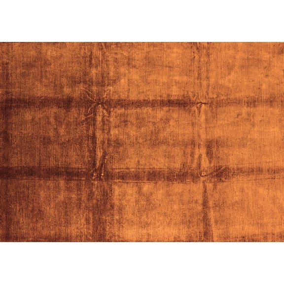 Ahgly Company Indoor Rectangle Oriental Orange Industrial Area Rugs, 8' x 12'