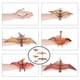 thumbnail image 1 of 6 modelos de dinosaurios voladores con acciones, colores y tamaños, gran adición a colecciones y juguetes educativos. Hugo Figuras de pterosaurio, 1 of 10