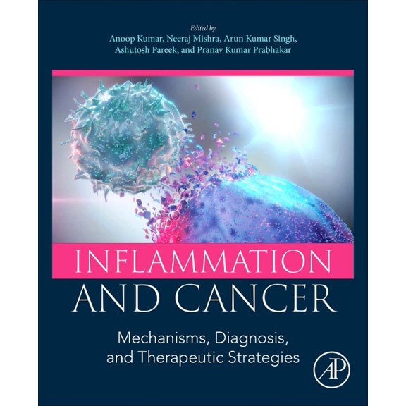 Inflammation and Cancer: Mechanisms, Diagnosis, and Therapeutic Strategies, (Paperback)