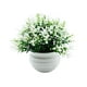 thumbnail image 5 of Planta falsa en maceta, decoración de bonsái Artificial, accesorios para fotos, pequeñas plantas falsas, bonsái de imitación para el hogar, oficina, Blanco, 5 of 8