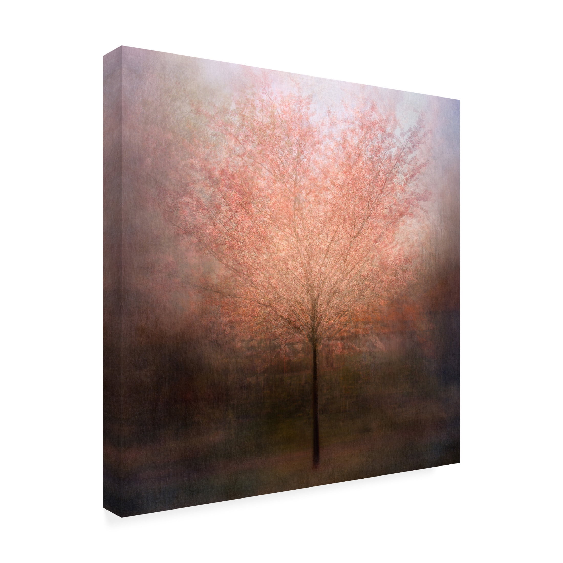 Canvas Wall Art - Delphine Devos 'Dream Come True' Wall Art for Living Room, Bedroom, or Office Décor by Trademark Fine Art - 35 x 35 Inches