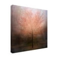 thumbnail image 3 of Canvas Wall Art - Delphine Devos 'Dream Come True' Wall Art for Living Room, Bedroom, or Office Décor by Trademark Fine Art - 14 x 14 Inches, 3 of 4