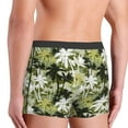 thumbnail image 3 of KLL Hawaii Palms Men's Cotton Boxer Briefs Underwear-XX-Large, 3 of 8