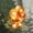 B, variant on Pisexur Christmas Lights, Christmas Tree Lights LED Christmas Decorations Indoor, Christmas Window Lights Waterproof String Light for Bedroom Window Hanging Decoration Lights Christmas Party Decor