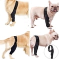 thumbnail image 5 of Rodillera QUETOi para perros, soporte para rodilla de mascota, vendaje para patas delanteras y traseras, protector de codo canino, manga de recuperación para artritis u osteoartritis, negra (L), 5 of 5