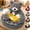 Grey, variant on Teddy Bear Dog Bed,Cuddler Dogs Bed with Cooling Mat, Cozy Cave Dog Bed,Soft Bear Bed with Removable Washable Cover and Non-Slip Bottom for Small to Medium Dogs and Cats (Grey, XL)