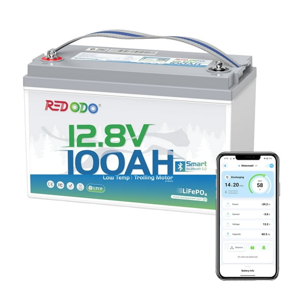 Redodo 12V 100Ah LiFePO4 Battery Bluetooth 100A BMS Remote Control Lithium Battery Low-Temp Protection for Trolling Motor RV