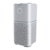 BISSELL Air180� Air Purifier For Home, Bedroom, HEPA Filter, Filters Smoke, Allergies, Pet Dander, Odor, Dust, Gray, 34964