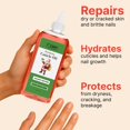 thumbnail image 3 of Aceite para cutículas C CARE Holiday Edition 240 ml Hidratante, 3 of 7