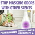 How Much Is Pooph At Walmart POOPH Pet Laundry Booster, 32 FL Oz, Odor & Cat Scent Remover for 16