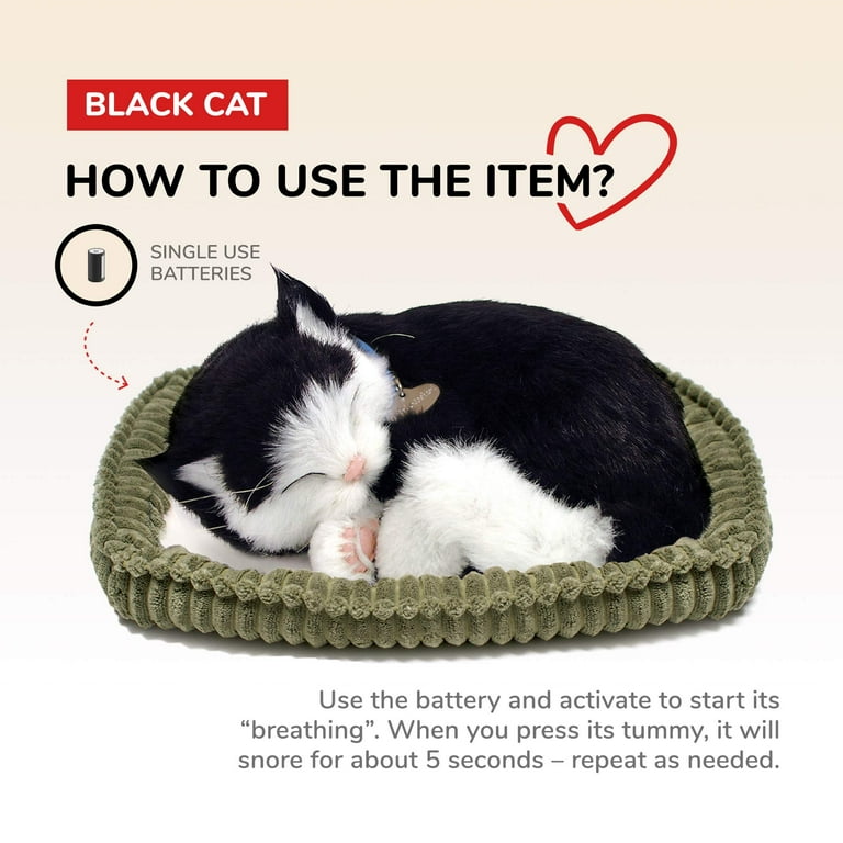 Perfect petzzz sale calico cat