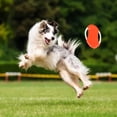 thumbnail image 4 of Orange Orange Fabric Flying Disc For Pet Dogs Outdoor Training Snap Proof Educational Cloth Rope Material #6o1ro, 4 of 6