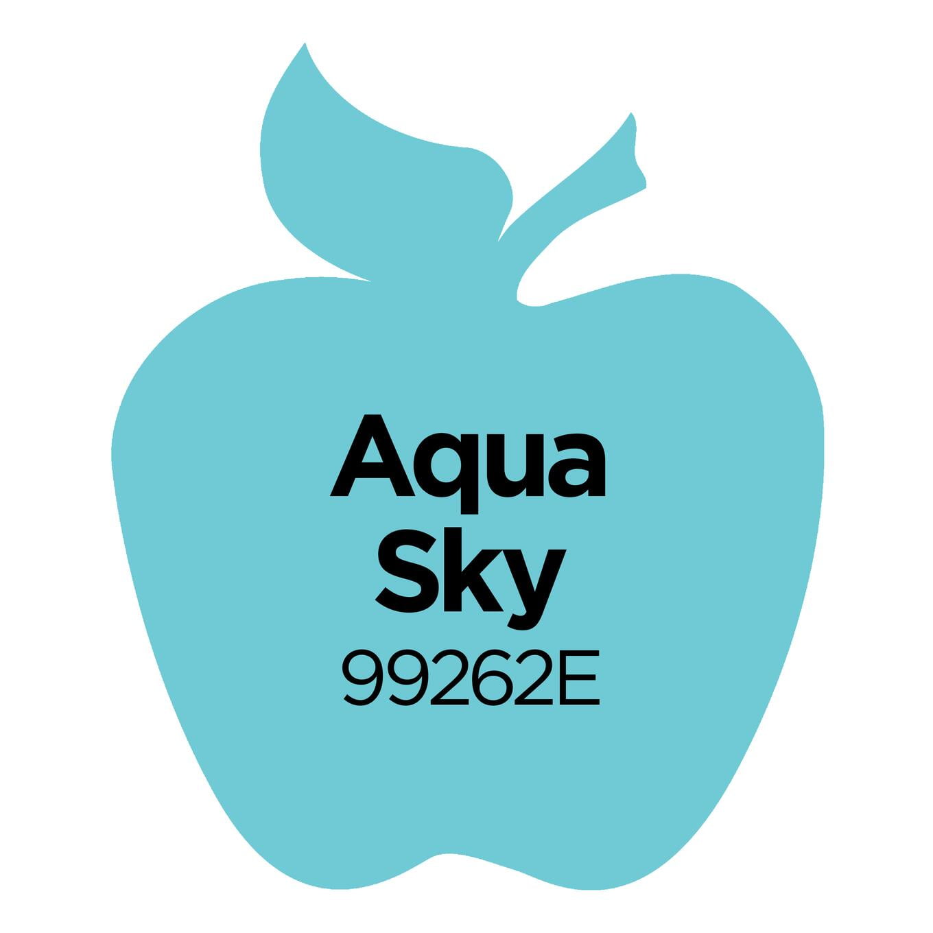 Aqua Sky Americana Acrylics DA333-3 Vivid Teal Blue Sky Colored Acrylic  Hobby Paint