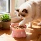 thumbnail image 4 of Plato De Plástico Para Gatos Comedero elevado de plástico para gatos de gran capacidad, ideal para Rkxzt, 4 of 9