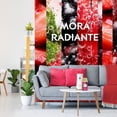thumbnail image 5 of Aromatizante Automático en Aerosol Glade Mora Radiante Repuesto de 175 g, 5 of 5