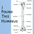thumbnail image 3 of CafePress - I Find This Humerus Light T Shirt - Light T-Shirt - CP, 3 of 4