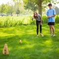 thumbnail image 4 of Rollors Original Outdoor Yard Game, 4 of 9