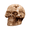 C, variant on QLUEWX Mini Halloween Skulls Decorations, Realistic Small Resin Skull Figurines, 0.83 Inch Tiny Horror Skeleton Heads for Tiered Tray Tabletop DIY Craft Haunted House Halloween Party Decor Gifts