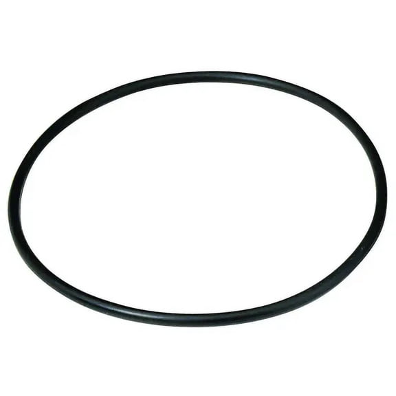 Culligan OR-34A 3/4 Inch Housing O Ring, Each
