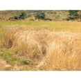 thumbnail image 2 of Léon Augustin Lhermitte 14x12 Gold Ornate Wood Frame and Double Matted Museum Art Print Titled - Wheat, 2 of 4