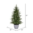 thumbnail image 2 of Vickerman Potted 3.5' x 26" Belgrade Pine Artificial Christmas Tree, Unlit, 2 of 2
