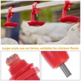 thumbnail image 5 of IBASETOY Automatic Poultry Waterer for Home Use with Practical Design and Multiple Installation Methods Red PVC Steel 20pcs, 5 of 6