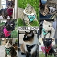 thumbnail image 5 of DMISOCHR Cat Harness and Leash Set Escape Proof Cat Vest Harness for Outdoor, 5 of 7