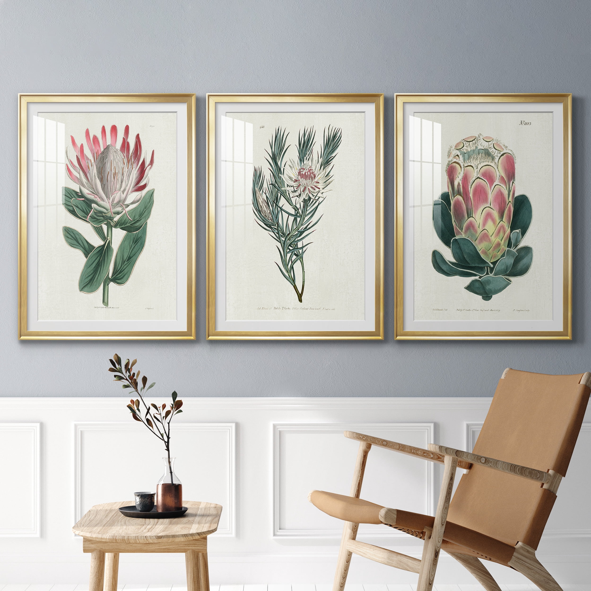 Protea N13 Premium Framed Prints Set of 3 - Ready to Hang - 30.5 x 42.5 Each - Gold Frame