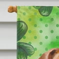thumbnail image 3 of Carolines Treasures BB9887CHF Jack Russell Terrier 2 St Patricks Flag Canvas House Size  Large multicolor, 3 of 4