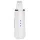 thumbnail image 3 of Limpiador de poros, depurador de piel facial, herramienta de limpieza facial USB, dispositivo de cuidado de la piel, el mejor de su clase, 3 of 9