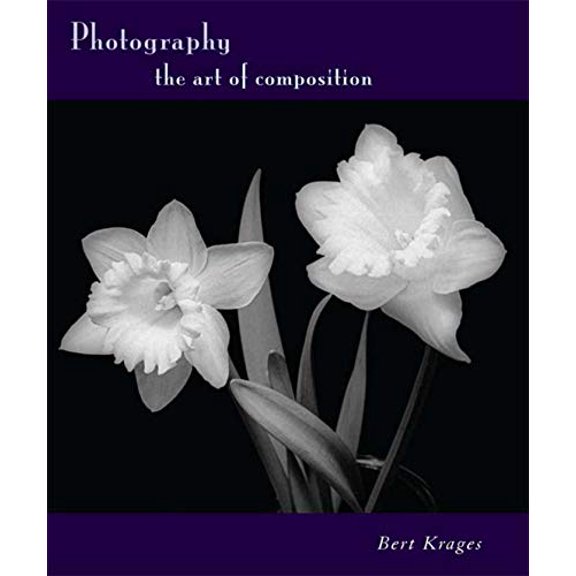 Pre-Owned Photography : The Art of Composition (Paperback)