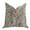 Gray, Beige, variant on Plutus Garden Breeze Luxury Throw Pillow in Gray & Beige - 22 x 22 in.
