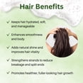 thumbnail image 4 of Peppermint & Rosemary Strengthening Shampoo | Organic Shampoo for Hair Growth, Dry Hair & More, 4 of 10