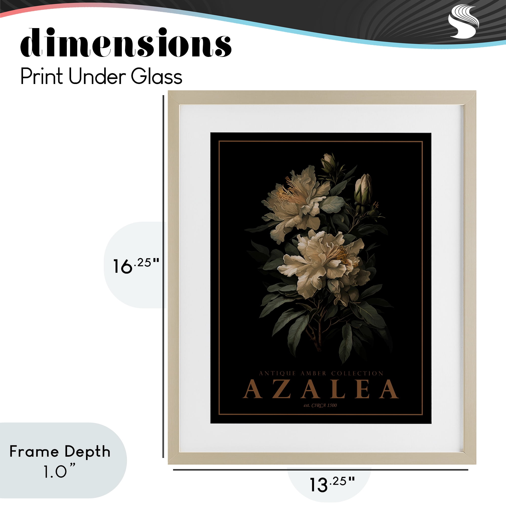 Stupell Industries Antique Azalea Bushel Birch Framed Print Under Glass, design by Christopher Giampietro
