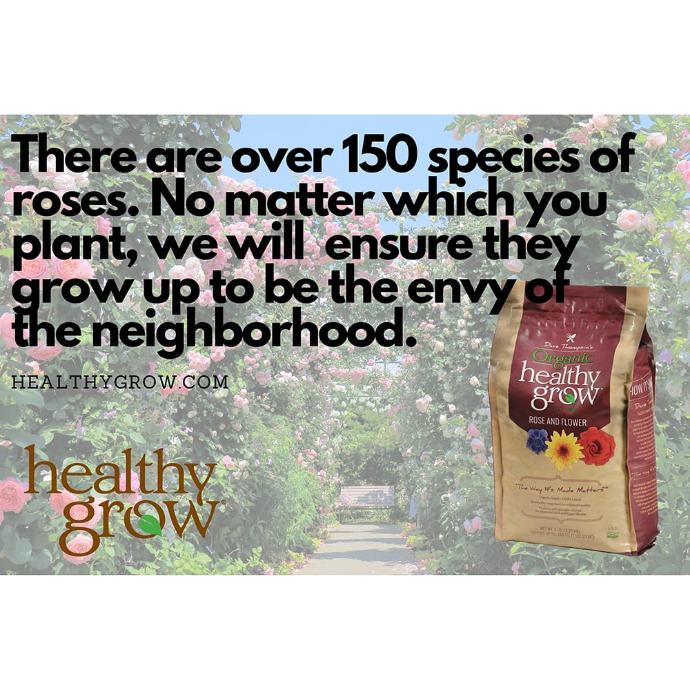 Organic Healthy Grow Rose and Flower Garden Plant Food Fertilizer, 4-3-2, 3 lb Bag