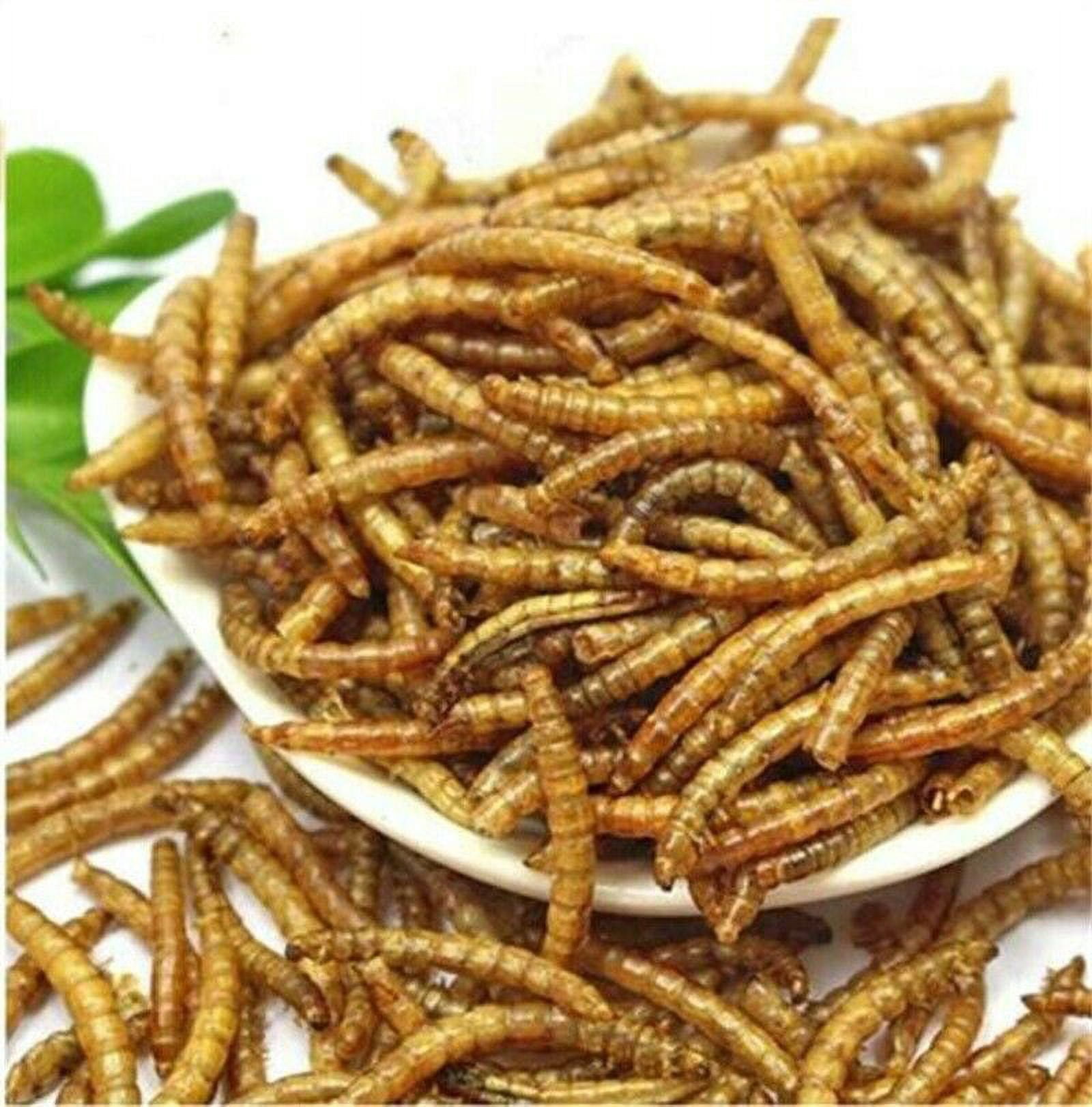 LuckyQ Dried Mealworms for chickens 44 lbs, Organic Pet Supply Meal Worms 100% Natural Treats for Wild Birds, Chickens, Reptiles, Fish, Blue Birds, Turkey, Hamsters Hen, Hedgehog Food