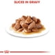 thumbnail image 3 of Alimento Húmedo Gato Cachorro Slices in Gravy 85g Royal Canin, 3 of 4