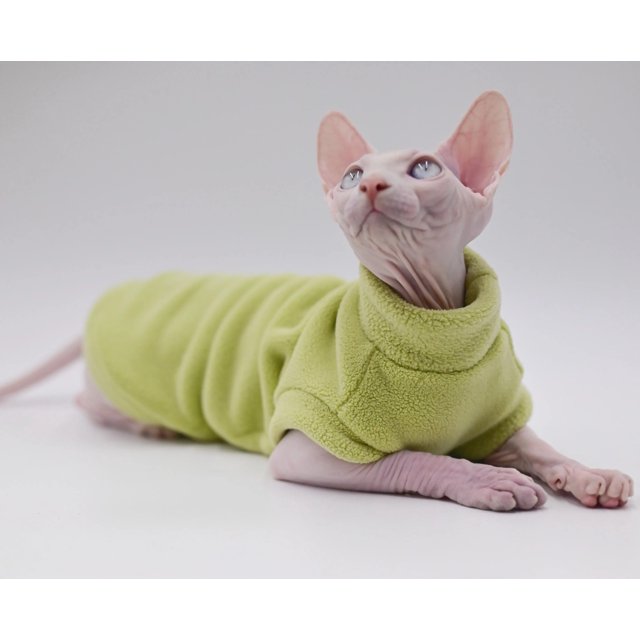 Hairless Cat Clothes Soft Warm Cat Hoodie for Sphynx Cats,Devon Rex, Cornish,Peterbald