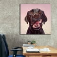 thumbnail image 6 of Epic Graffiti 'Follow Your Nose 7' by Lucia Heffernan, Canvas Wall Art, 37"x37", 6 of 8