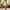 Khaki, variant on ZZwxWA Linen Shorts for Women Knee Length Wide Leg Shorts 2024 Trendy Lightweight Casual Shorts Plus Size Capris