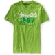 thumbnail image 1 of Aeropostale Mens Destroyed Est. Camiseta gráfica 1987, verde, grande, 1 of 1
