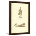 thumbnail image 1 of Sea Monster Effigies, Framed Art Print Wall Art by Ulisse Aldrovandi Sold by Art.Com, 1 of 5