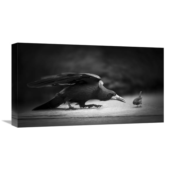 Global Gallery Richard Bires,'Evil' Stretched Canvas Artwork