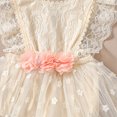 thumbnail image 5 of IBTOM CASTLE Baby Girls Lace Bodysuit Boho Clothes 1st Birthday Cake Smash Outfit Newborn Photography Outfits Summer Sunsuit 0-6 Months Apricot Flower, 5 of 8