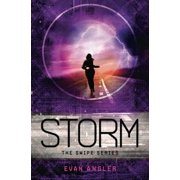 Swipe The Storm, (Paperback)