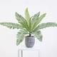 thumbnail image 3 of Manojo de hojas de Cycas artificiales,Hojas de hierba de arbusto de helechos artificiales,Hoja de palma Cycas verde artificial,Rama de palmera Cycas falsa,Planta de helecho falso verde, 3 of 9