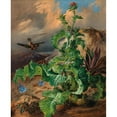 thumbnail image 2 of Franz Xaver Gruber 12x14 Black Ornate Wood Framed Double Matted Museum Art Print Titled: Large Thistle Still Life with Goldfinch, 2 of 5